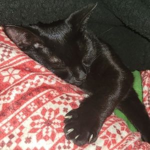 Meet your Posher, Estella